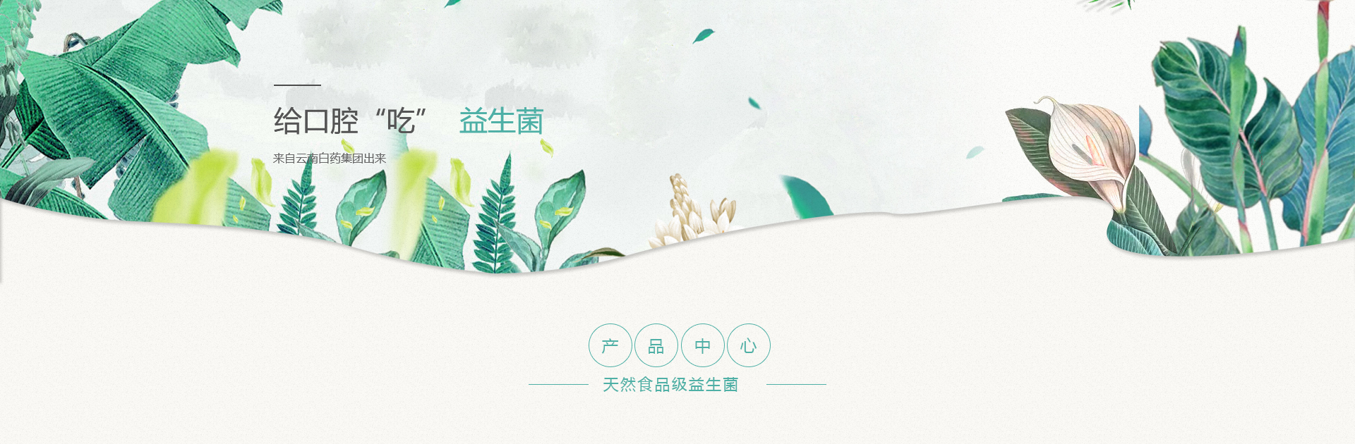 �������ǲ���(�й���)�ٷ���վ