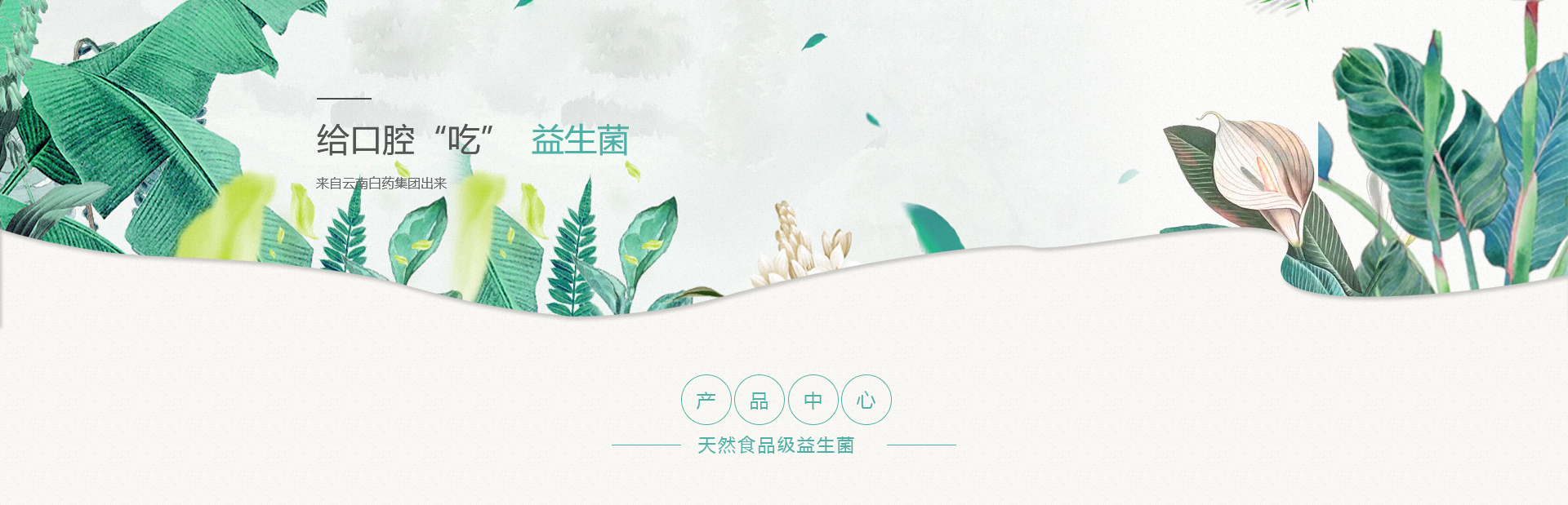 �������ǲ���(�й���)�ٷ���վ