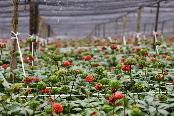 人生就是博·(中国区)官方网站