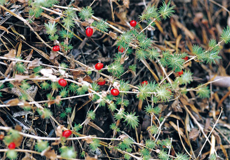 ÈËÉú¾ÍÊDz©¡¤(ÖйúÇø)¹Ù·½ÍøÕ¾