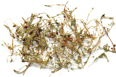 ÈËÉú¾ÍÊDz©¡¤(ÖйúÇø)¹Ù·½ÍøÕ¾