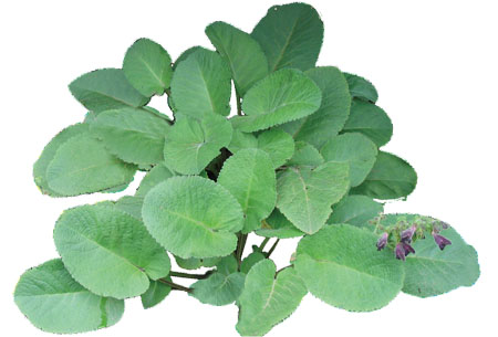 �������ǲ���(�й���)�ٷ���վ