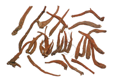 �������ǲ���(�й���)�ٷ���վ