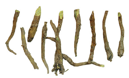 ÈËÉú¾ÍÊDz©¡¤(ÖйúÇø)¹Ù·½ÍøÕ¾