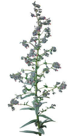 ÈËÉú¾ÍÊDz©¡¤(ÖйúÇø)¹Ù·½ÍøÕ¾