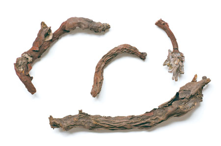 ÈËÉú¾ÍÊDz©¡¤(ÖйúÇø)¹Ù·½ÍøÕ¾