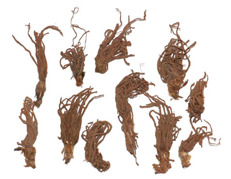 �������ǲ���(�й���)�ٷ���վ